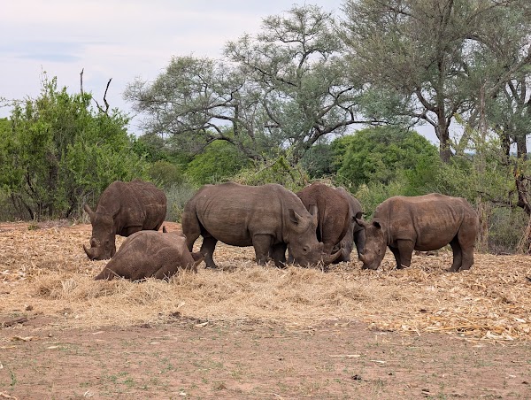 Mosi-oa-Tunya National Park 5