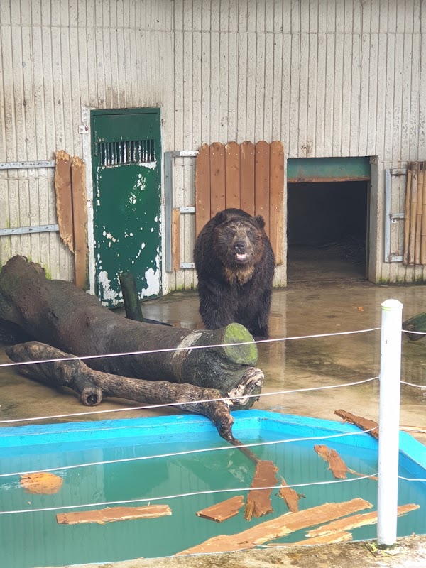 Jinyangho Zoo 5