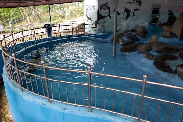 Jinyangho Zoo 4