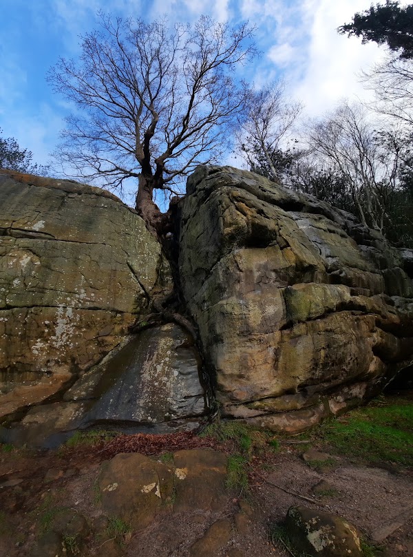Harrison's Rocks 4