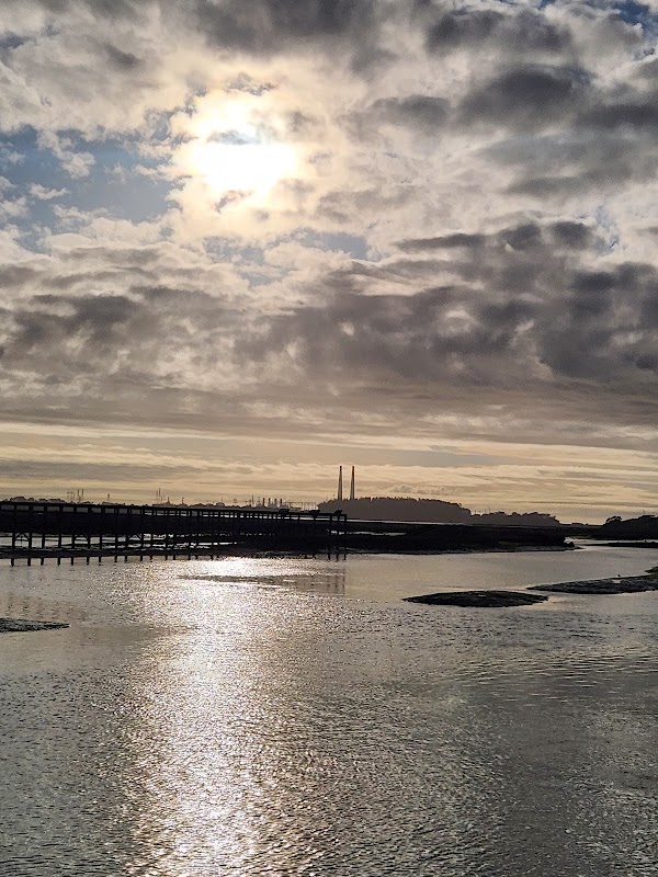 Elkhorn Slough 2