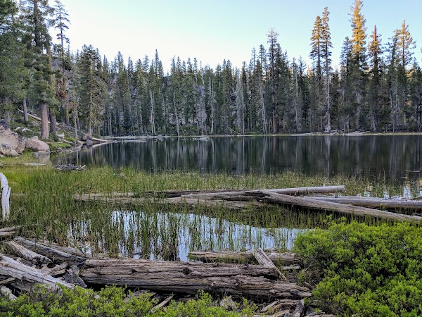 Lassen National Forest