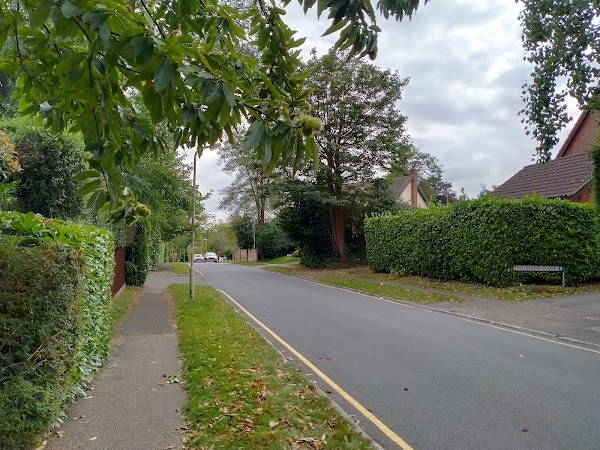 Shenfield