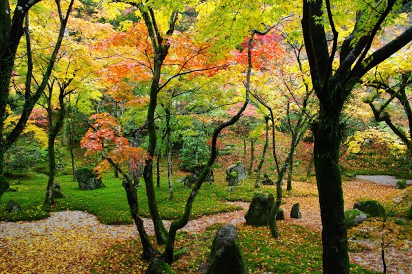 Komyozen-ji 5