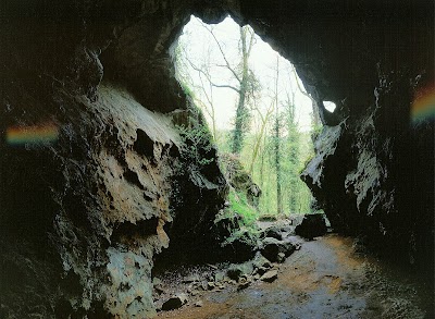 Belgie 5