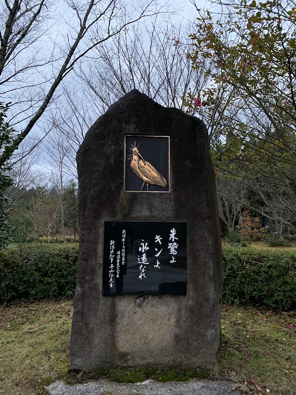 Tokinomori Park 4