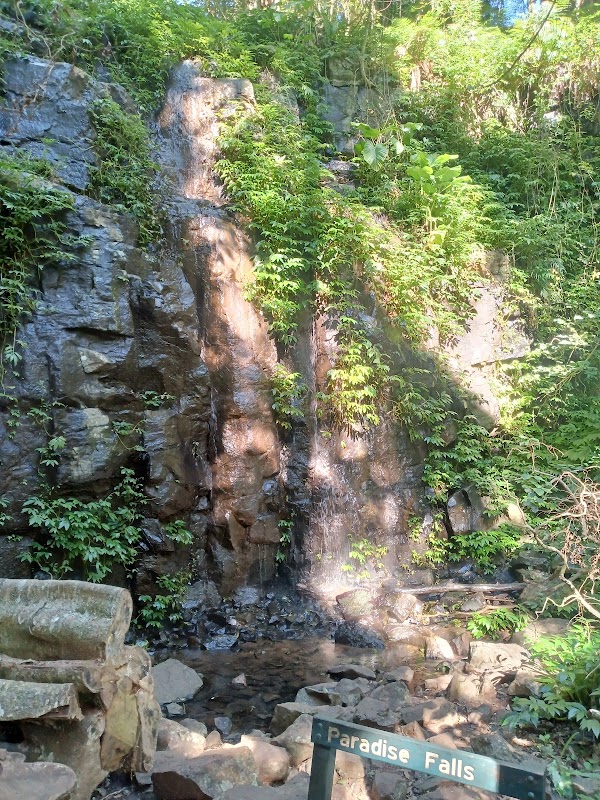 Paradise Falls