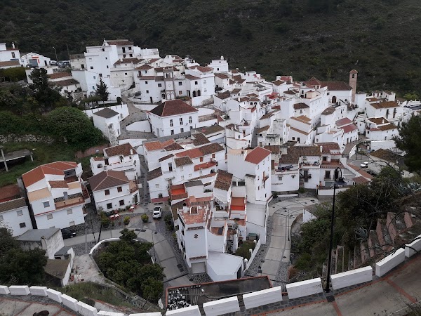 Salares 1