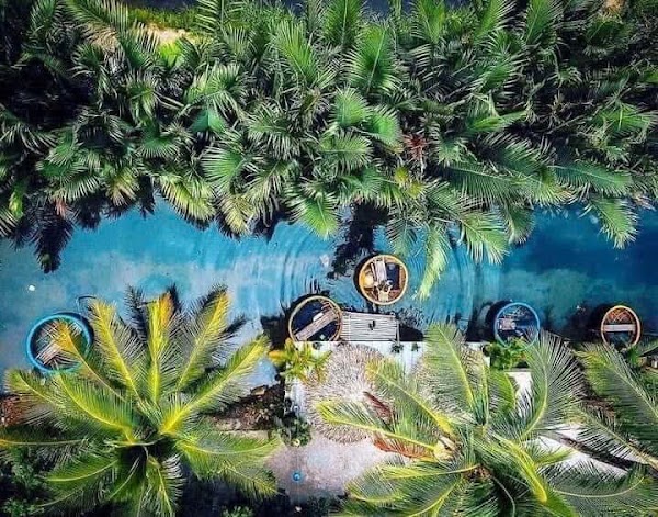 Coconut village 1