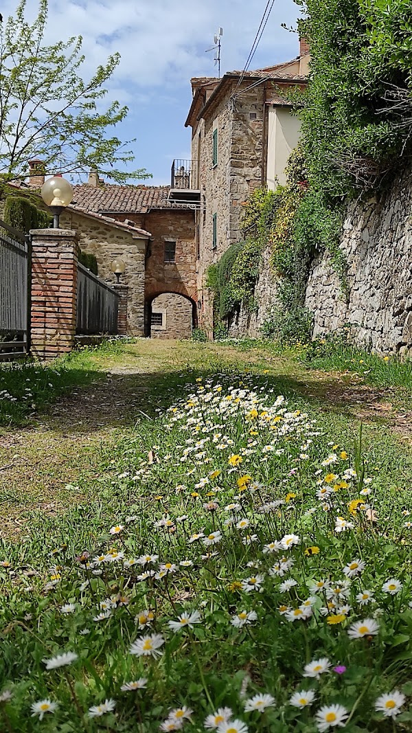 Castiglioncello del Trinoro