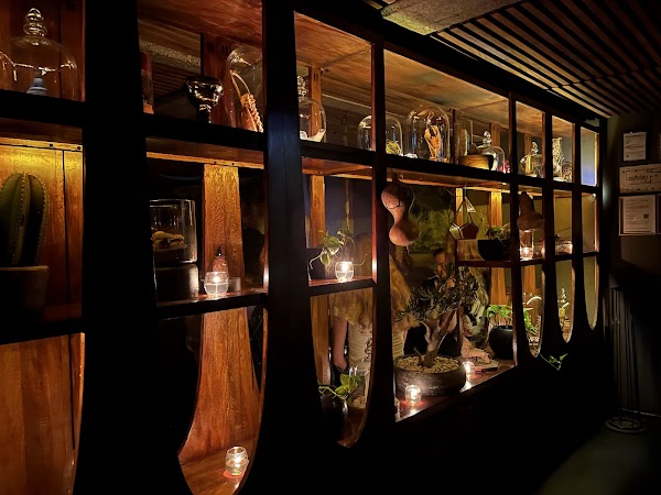Xaman Bar 3