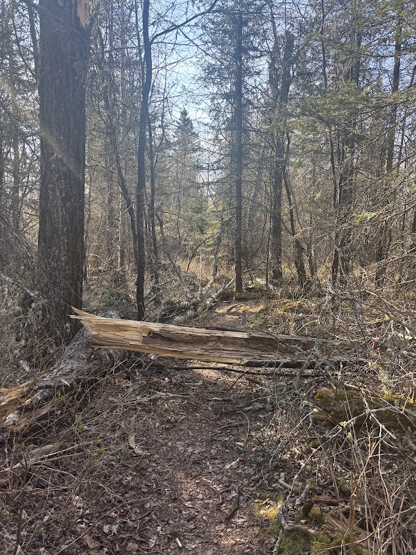 Mount Josephine 5