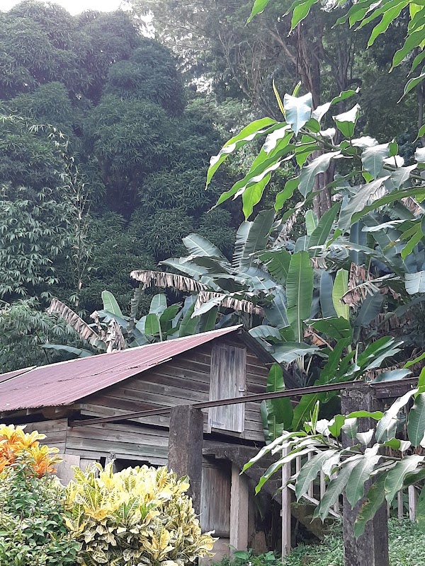 Charlotteville 1