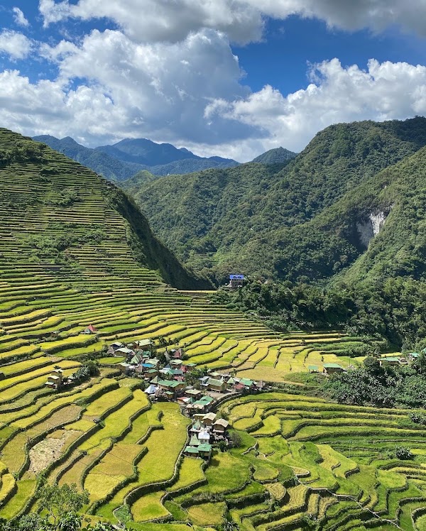Batad Rice Terraces