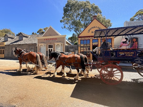 Sovereign Hill 5