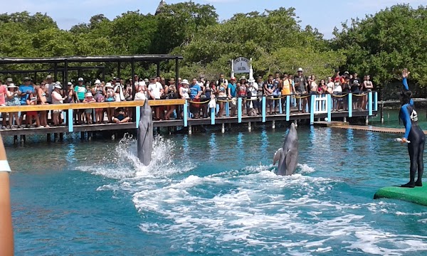 Oceanarium Rosario Islands 5