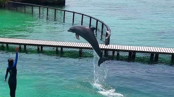 Oceanarium Rosario Islands 4