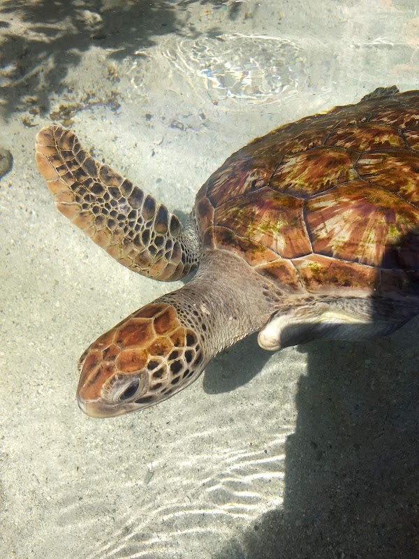 Oceanarium Rosario Islands 3