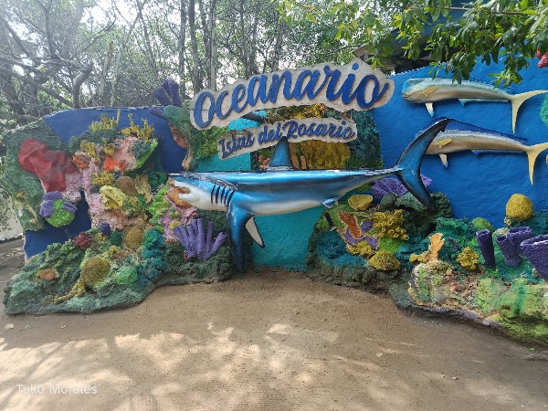Oceanarium Rosario Islands 2