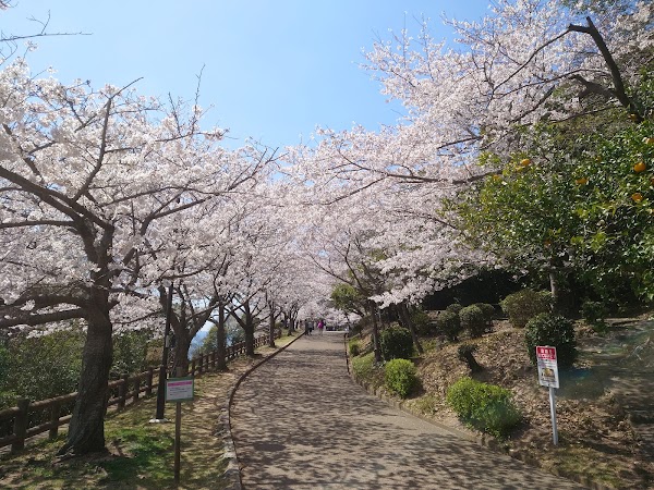 Sumaura Park