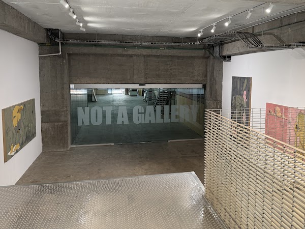 Not A Gallery
