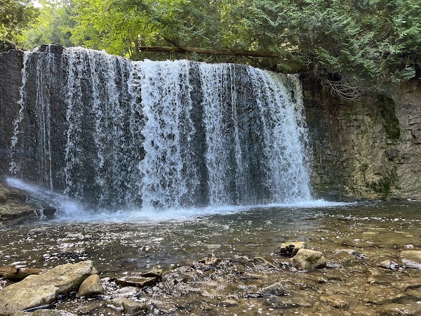 Hamilton falls
