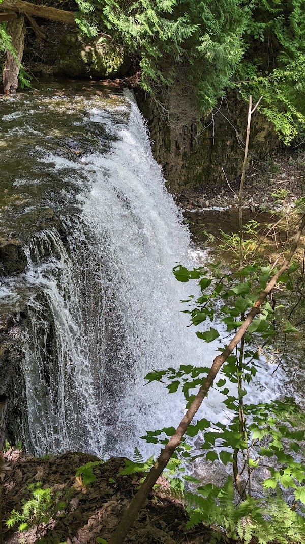 Hoggs Falls 5