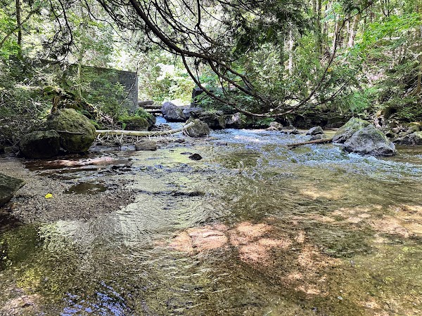 Hoggs Falls 4