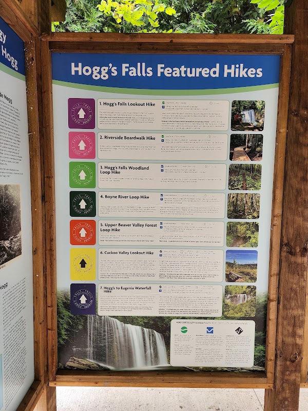 Hoggs Falls 2