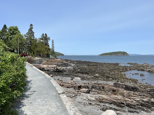 The Shore Path