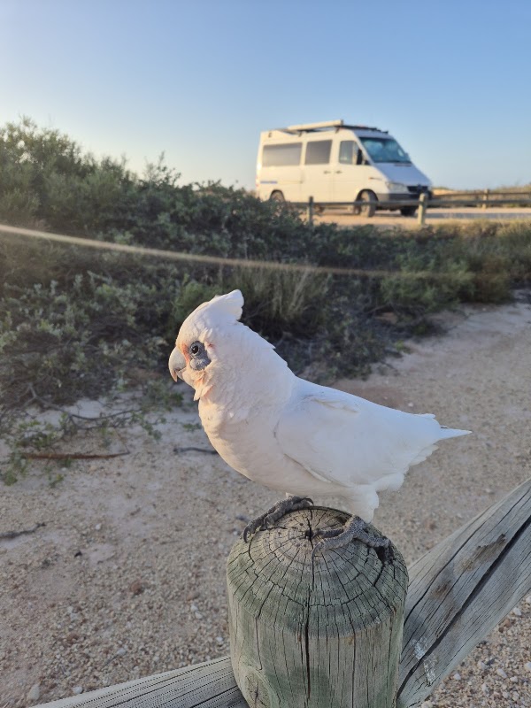 Osprey Bay campground