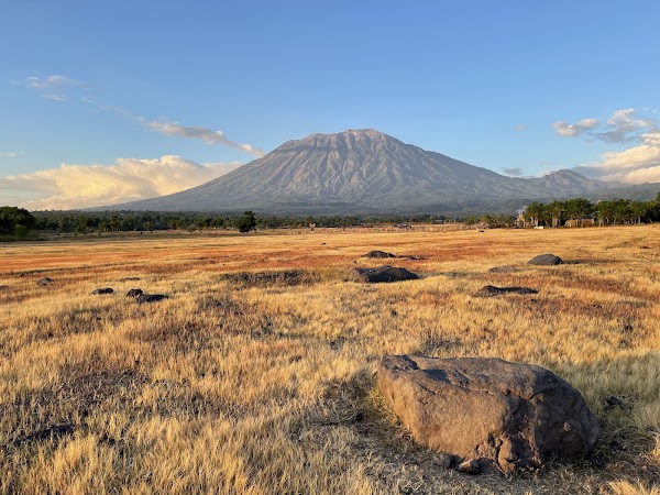 Savana Tianyar