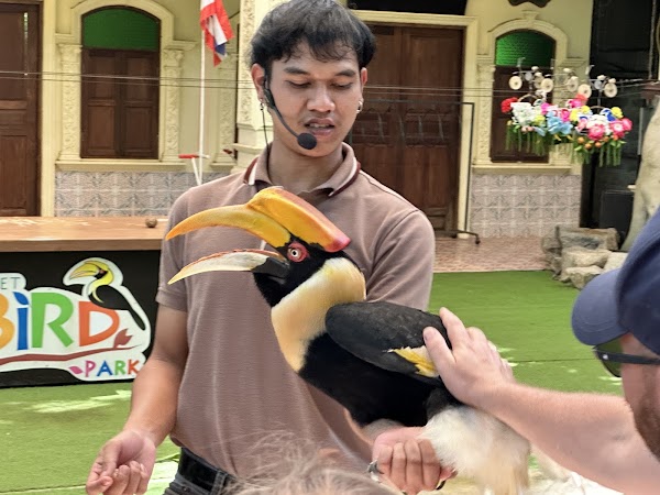 Phuket Bird Park 3