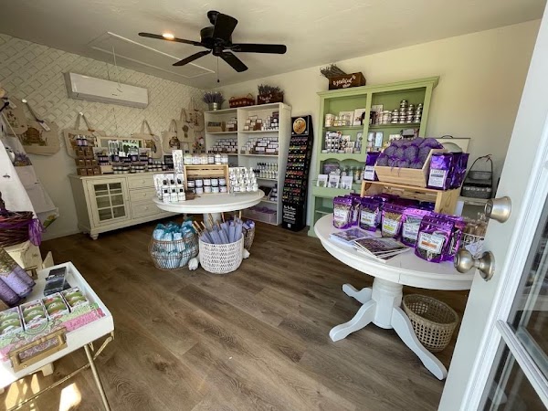 The Lavender Garden 4