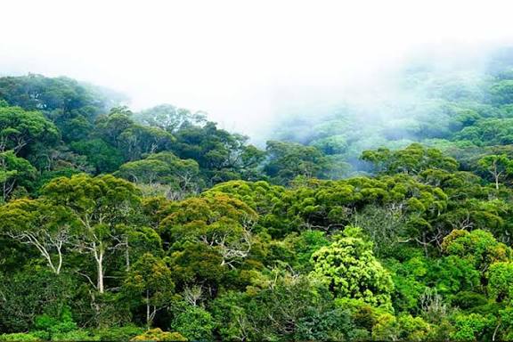 Sri Lanka 4
