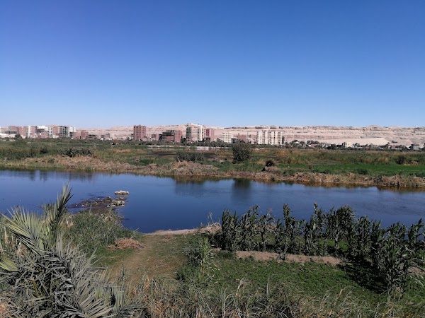 Minya