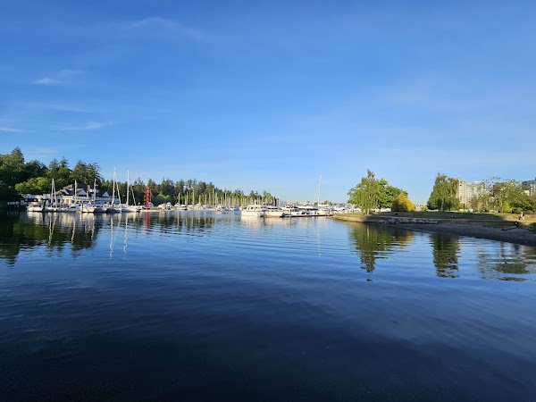 Seawall 4