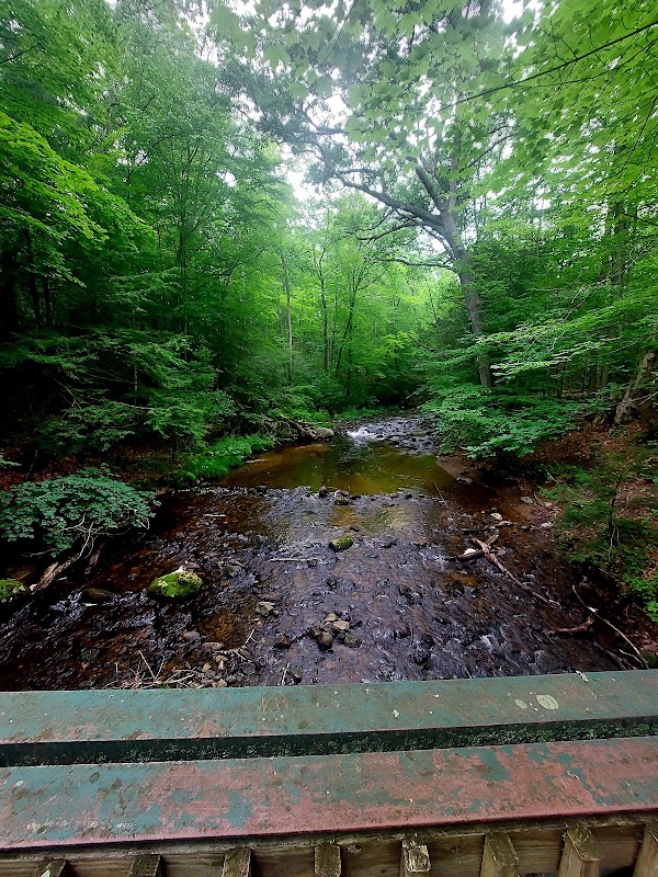 Robert Frost Trail 1