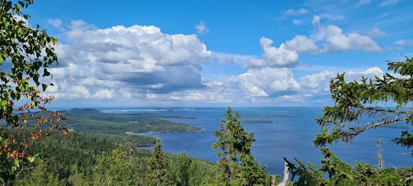 Koli