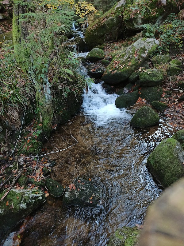 Wiedenfelsen über Bühlertal 4