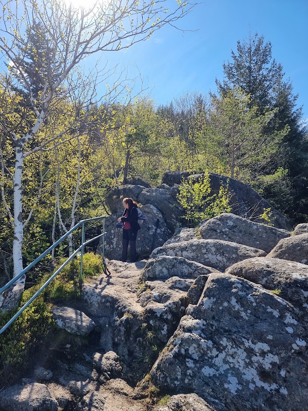 Wiedenfelsen über Bühlertal 3