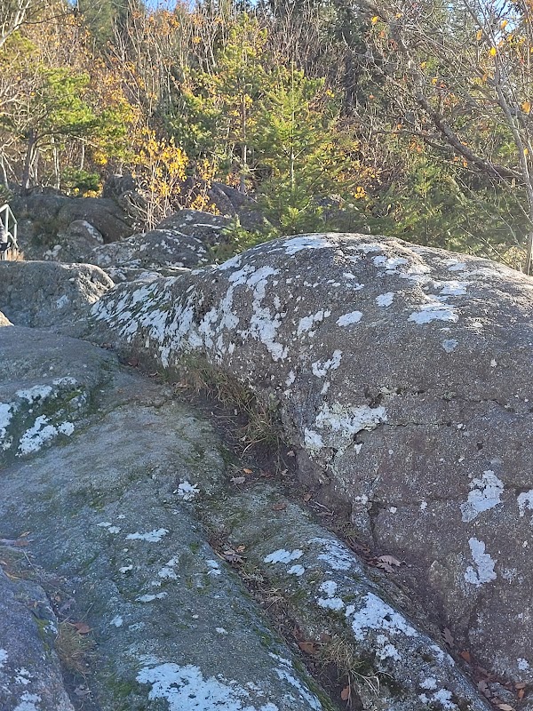 Wiedenfelsen über Bühlertal 2