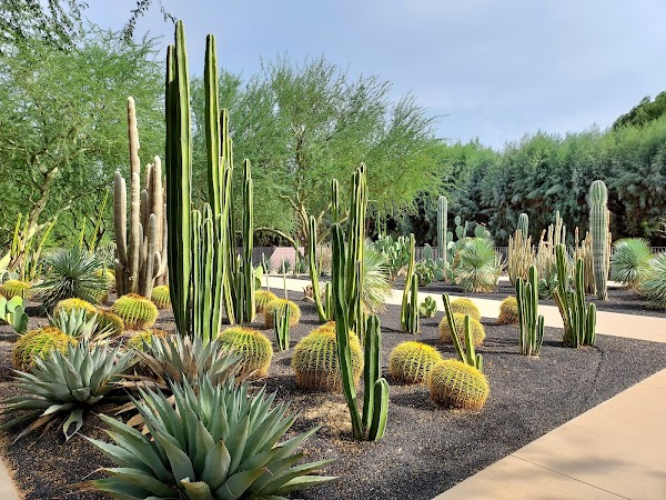 Sunnylands Center & Gardens 5