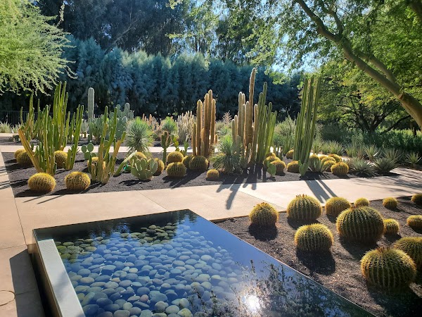 Sunnylands Center & Gardens 3