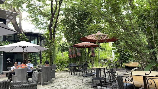 Much Room Cafe