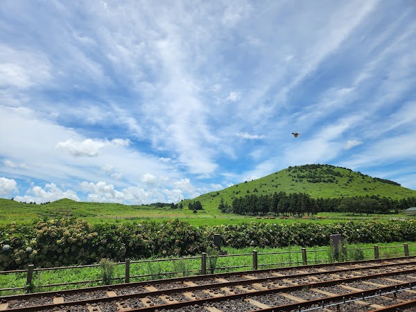 Jeju Rail Bike 5