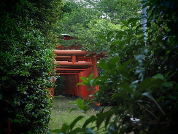 Inariyama Shrine 3