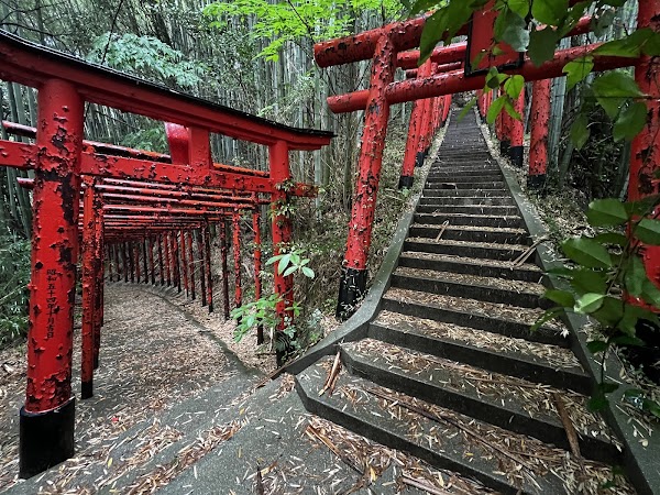 Inariyama Shrine 2