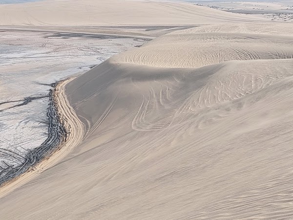 Desert safari doha qatar 4