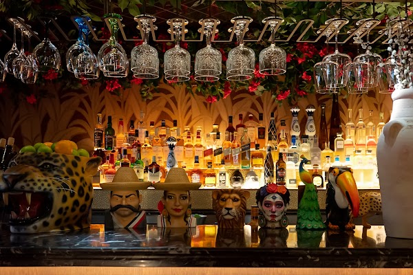 Maison Jaguar, restaurante mexicano con espectáculo 1